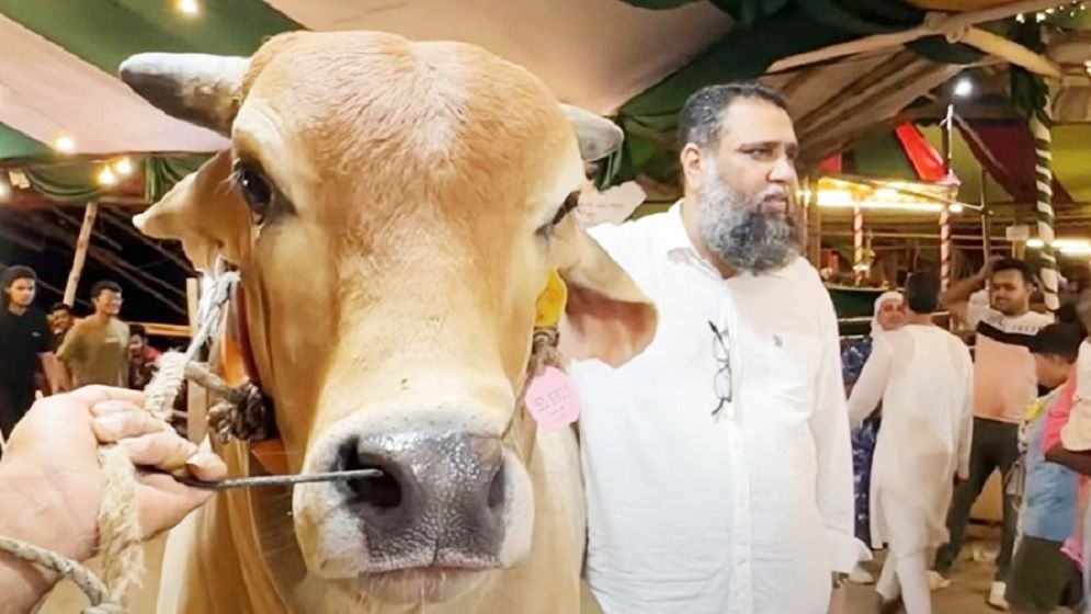 সাদিক অ্যাগ্রোকে নিলাম ছাড়াই দেওয়া হয় ৪৪৮ গরু