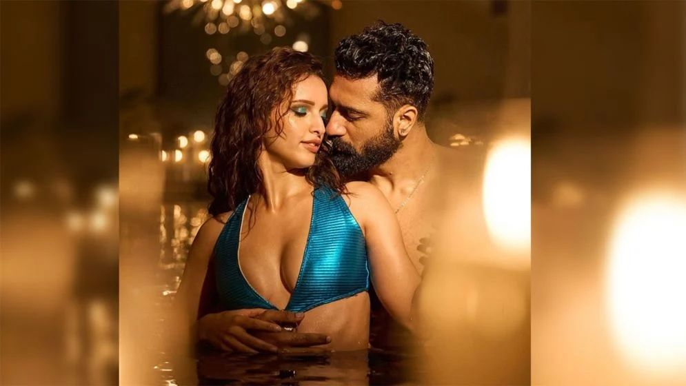 ঘনিষ্ঠ দৃশ্যে উত্তাপ ছড়াচ্ছেন ভিকি ও তৃপ্তি