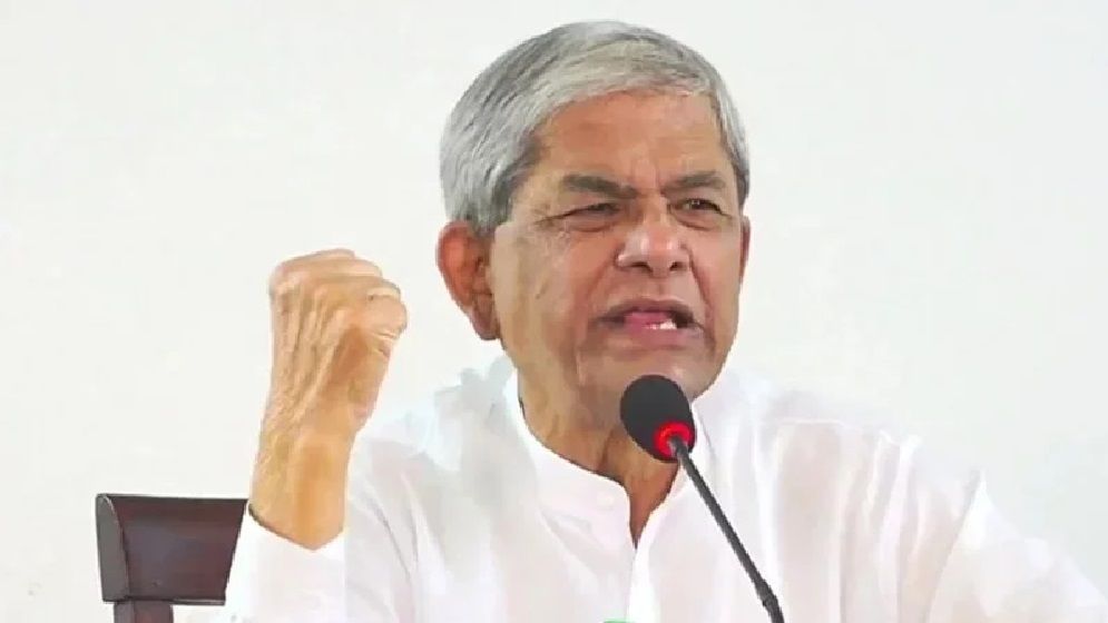 অন্তর্বর্তী সরকারকে অবশ্যই যৌক্তিক সময় দিতে চাই : মির্জা ফখরুল