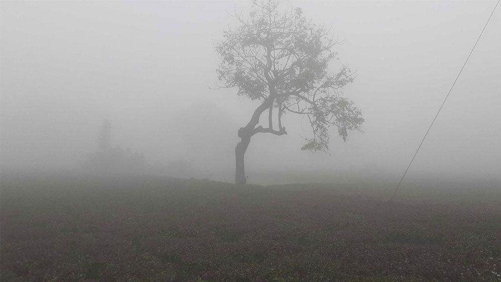 পঞ্চগড়ের তাপমাত্রা ১০ ডিগ্রির ঘরে