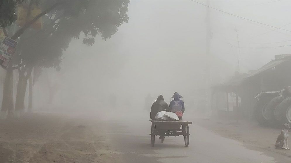 ঘন কুয়াশা আর শীতে বিপর্যস্ত চুয়াডাঙ্গায় জনজীবন
