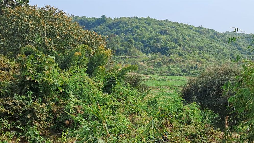 নাইক্ষ্যংছড়ি সীমান্তে মাইন বিস্ফোরণে আহত ২