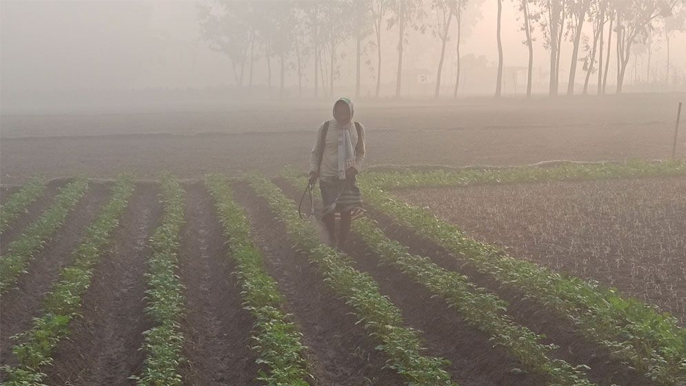 পঞ্চগড়ের তাপমাত্রা নামল ৭ ডিগ্রিতে