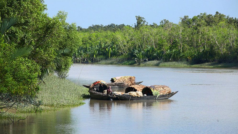 জাতীয়ভাবে দিবসটি পালনে ২৩ বছরেও মেলেনি সাড়া
