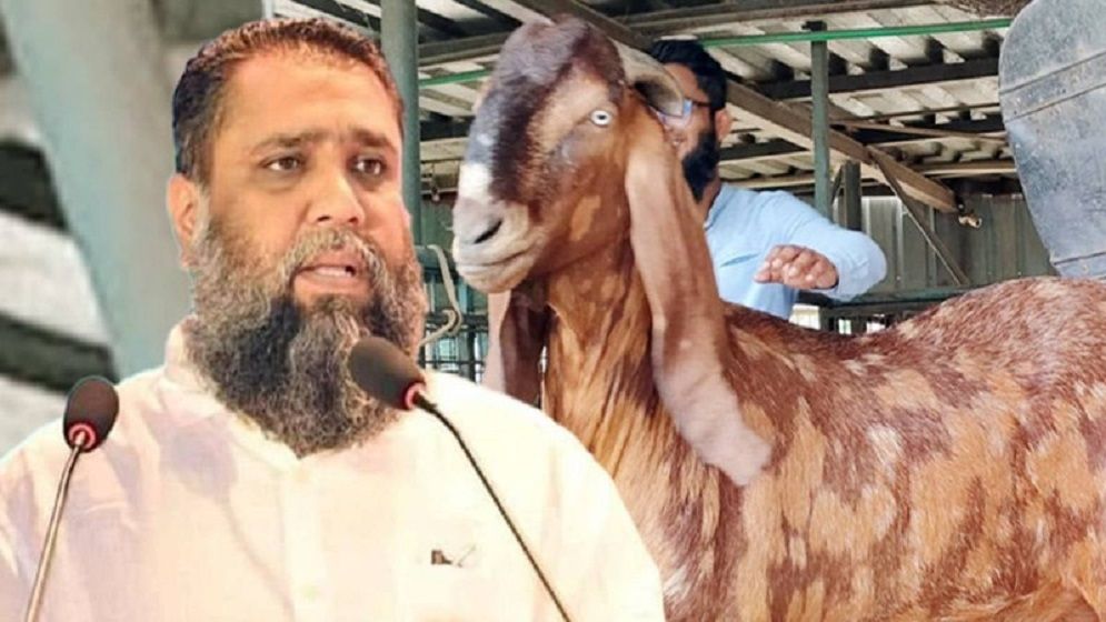সাদিক এগ্রোর ইমরানের বিরুদ্ধে ১৩৩ কোটি টাকা মানিলন্ডারিং মামলা