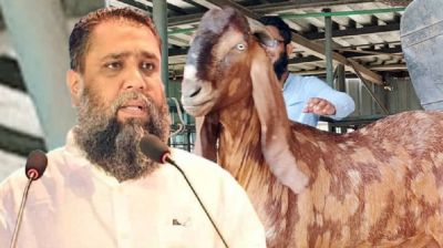 সাদিক এগ্রোর ইমরানের বিরুদ্ধে ১৩৩ কোটি টাকা মানিলন্ডারিং মামলা