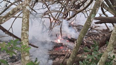 রাতের মধ্যেই সুন্দরবনের আগুন নিয়ন্ত্রণে আনার চেষ্টা চালাচ্ছে বন বিভাগ