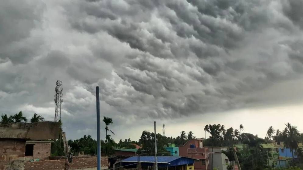 আজ যেমন থাকবে ঢাকার আবহাওয়া