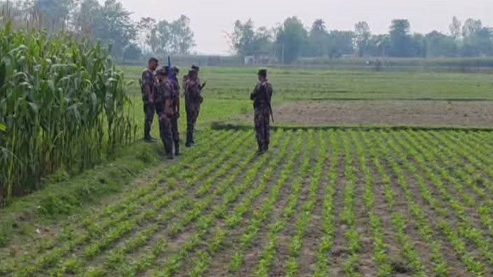লালমনিরহাট সীমান্তে বাংলাদেশি যুবককে ধরে নিয়ে গেল বিএসএফ