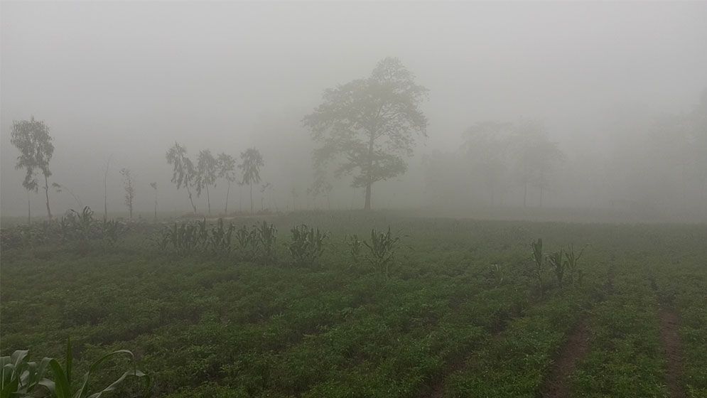 চার অঞ্চলে তাপপ্রবাহ, পঞ্চগড়ে এখনও শীতের কুয়াশা