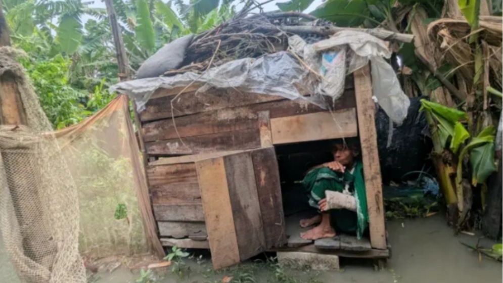 বৃদ্ধা মাকে মুরগীর খোপে আশ্রয় দিয়েছেন সন্তানরা!