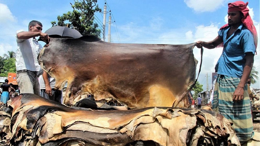 কুরবানির পশুর চামড়ার দাম নির্ধারণ