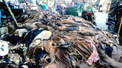 কোরবানির আগে লবণের দাম বেড়ে বিপাকে চামড়া ব্যবসায়ীরা