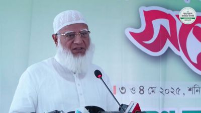 ফেব্রুয়ারি বা এপ্রিলের মধ্যে নির্বাচন হওয়া উচিত : জামায়াত আমির
