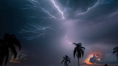 ধান কাটার সময় বজ্রপাতে প্রাণ গেল দিনমজুরের