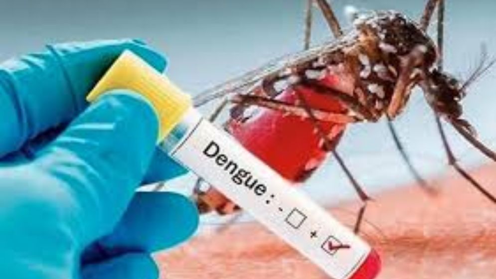 কক্সবাজারে ডেঙ্গু ও ম্যালেরিয়ায় আক্রান্ত রোগির সংখ্যা বাড়ছেই
