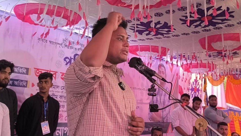 পাথর ছুড়লেও ফুল ছুড়ে বুকে টেনে নেব : হাসনাত আব্দুল্লাহ