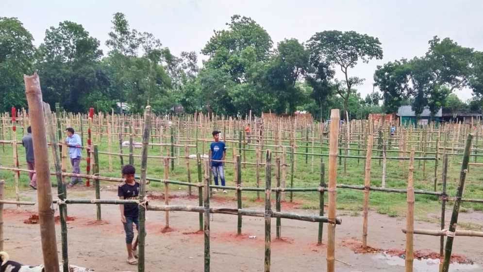বুড়িচংয়ে যুবদল নেতার দাপটে শিক্ষা প্রতিষ্ঠানে গরুর হাট