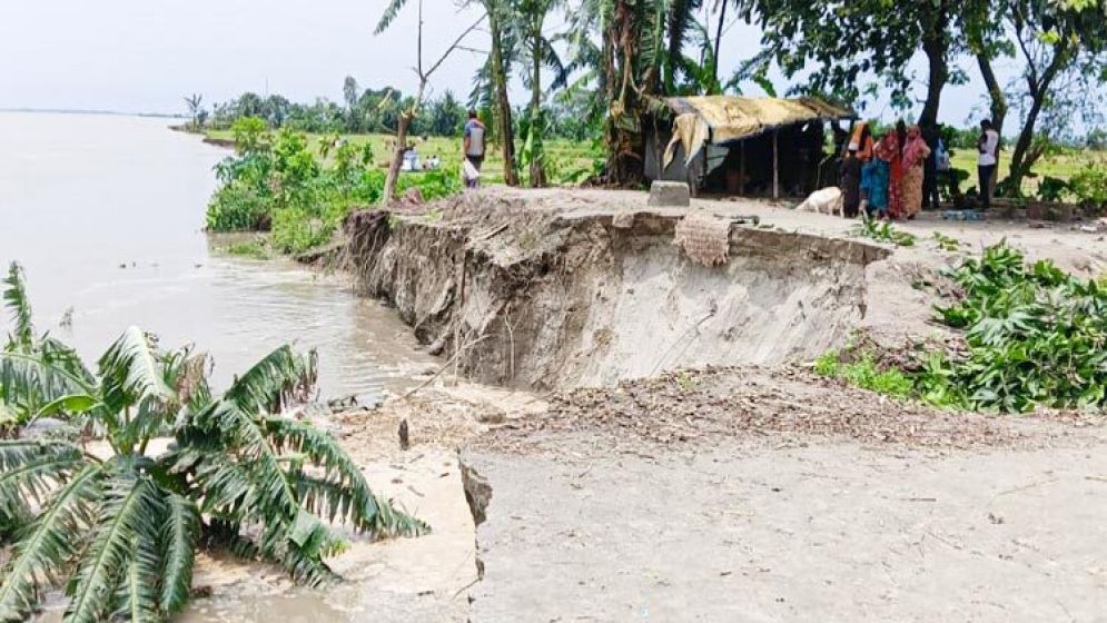 ব্রহ্মপুত্রের ভাঙনে ভিটাবাড়ি হারিয়ে নিঃস্ব হচ্ছে মানুষ