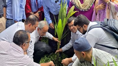 ডা. জুবাইদা রহমানের জন্মদিন :  ঢামেক প্রাঙ্গণে বৃক্ষরোপণ