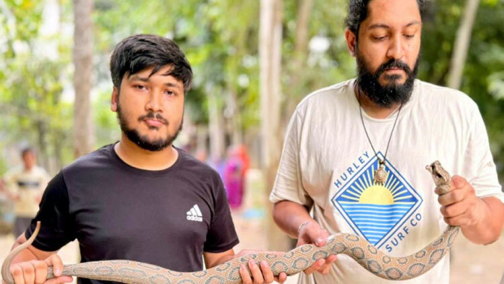 দোহার থেকে রাসেল ভাইপার উদ্ধার