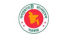 ৫ দেশে নতুন মিশন খুলছে সরকার