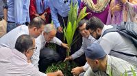 ডা. জুবাইদা রহমানের জন্মদিন :  ঢামেক প্রাঙ্গণে বৃক্ষরোপণ