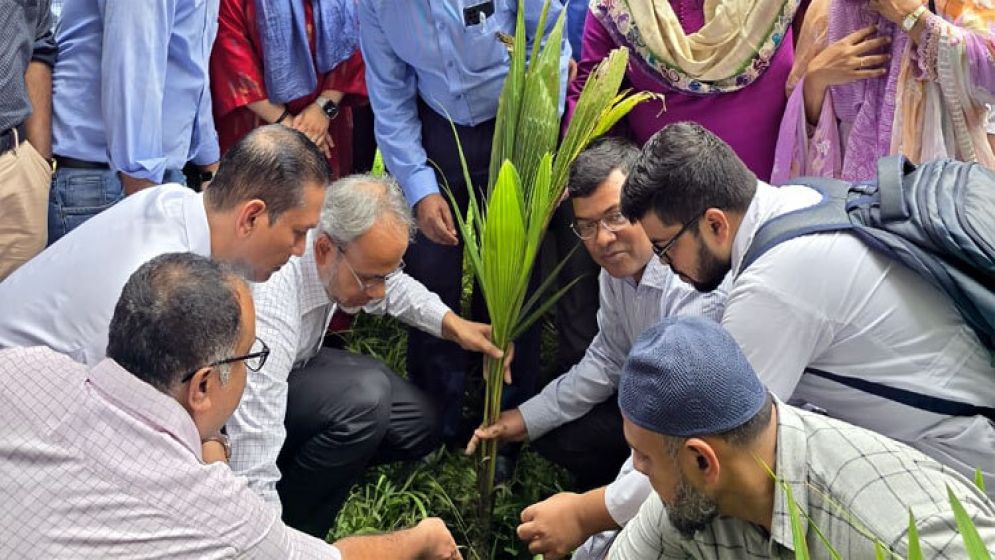ডা. জুবাইদা রহমানের জন্মদিন : ঢামেক প্রাঙ্গণে বৃক্ষরোপণ