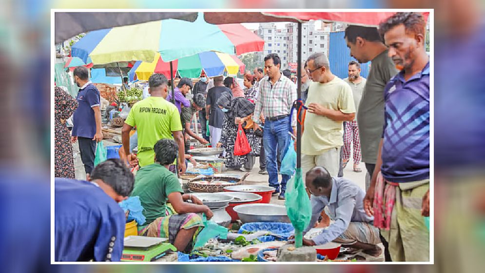 বাজারে হরেক রকম দেশি মাছ, চাহিদা বেশি হওয়ায় দামও বেশি