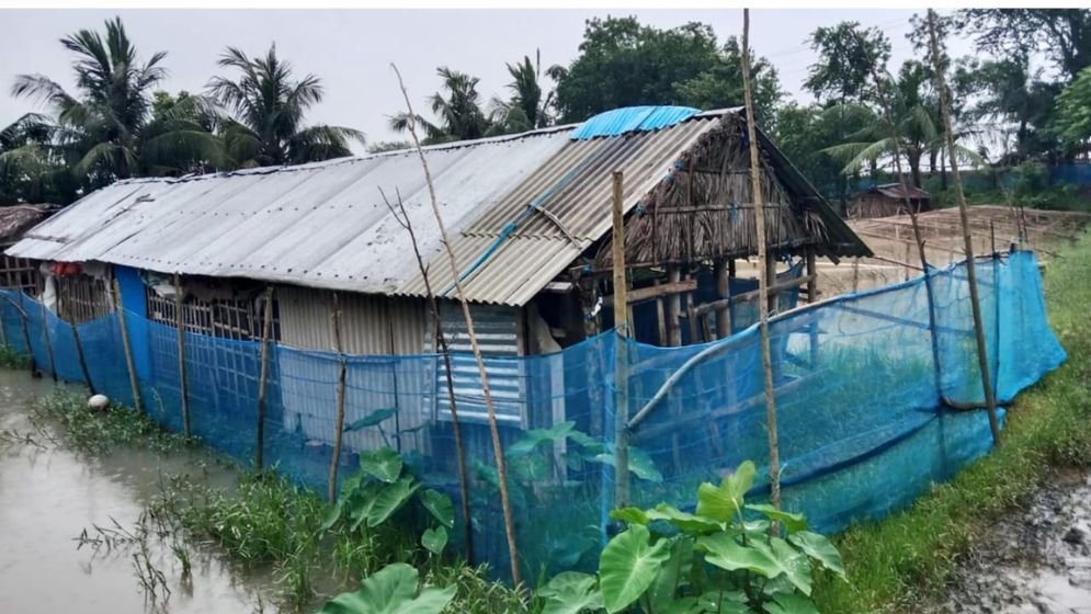 পাইকগাছায় সম্পত্তি জবরদখলের পাঁয়তারার অভিযোগ