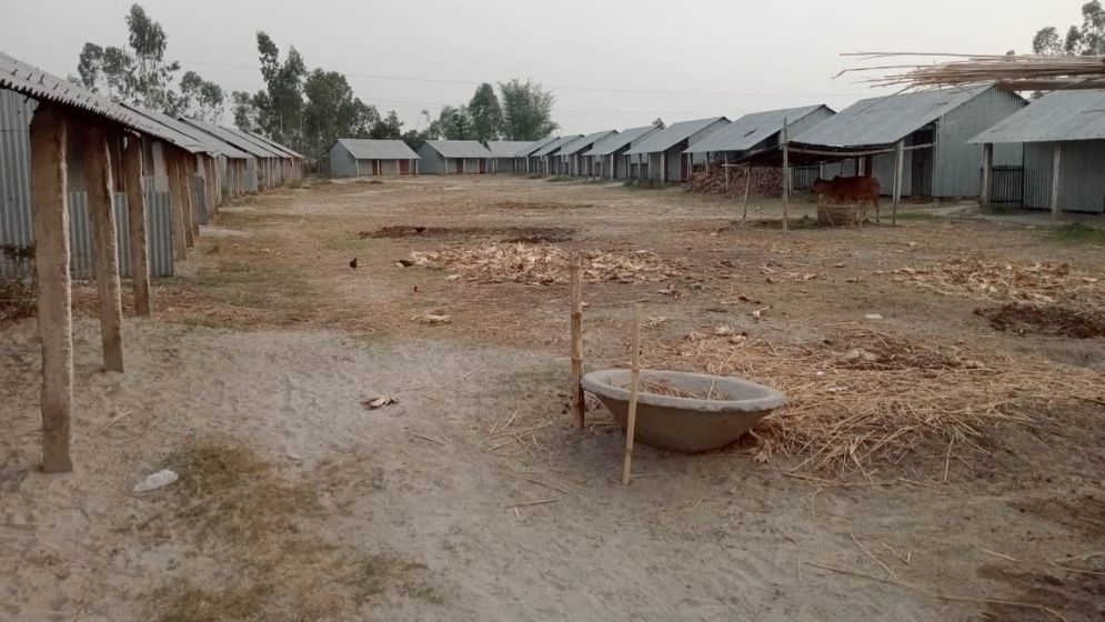 বকশিগঞ্জের কোটি টাকার আশ্রয়ন প্রকল্প এখন গোচারণ ভূমি