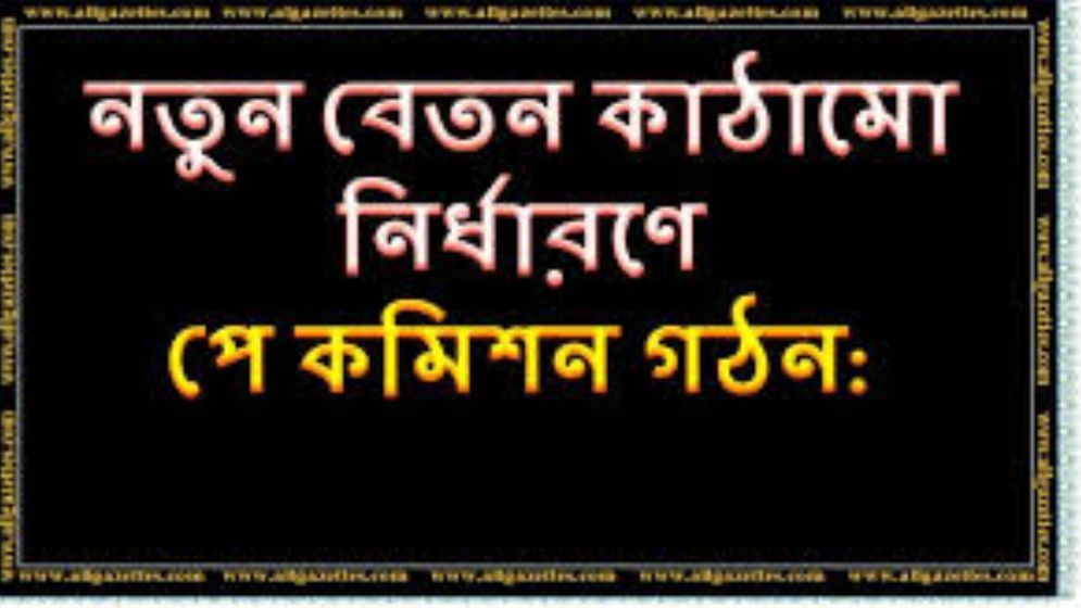 নতুন বেতনকাঠামো নির্ধারণে জাতীয় কমিশন গঠন