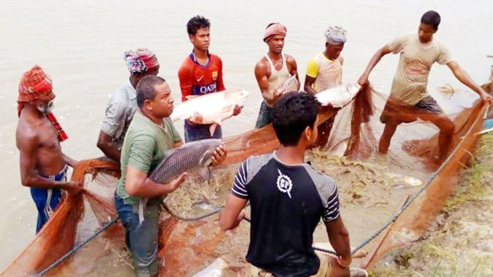 বাংলাদেশ মাছ উৎপাদনে ‘মাইলফলক’ ছাড়ানোর পথে
