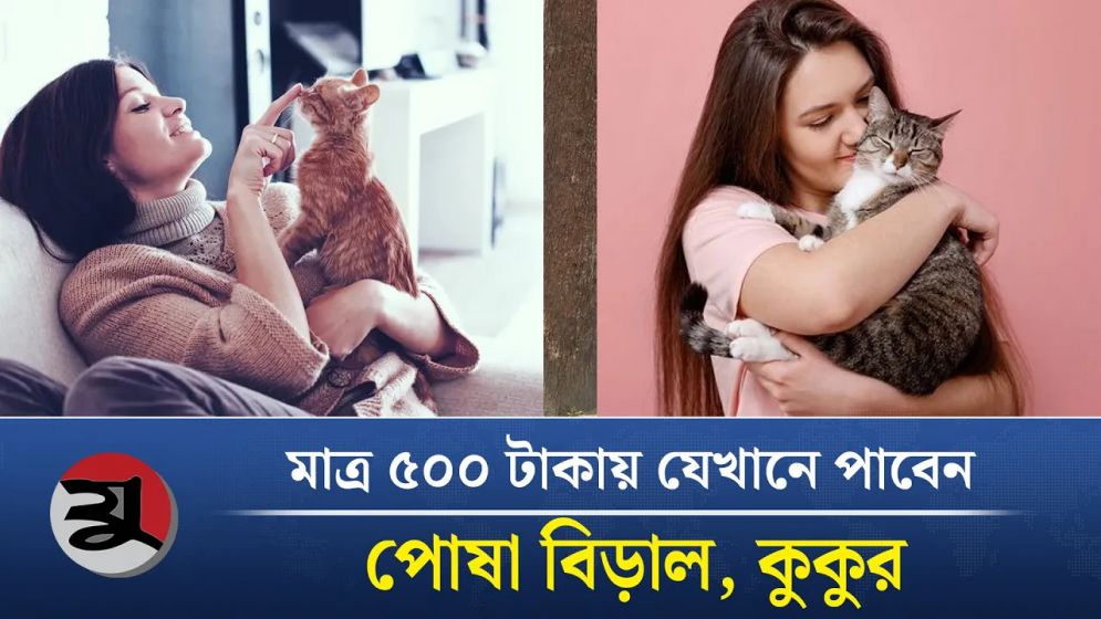 রাজধানীতে যেখানে পাওয়া যাবে পোষা প্রাণী
