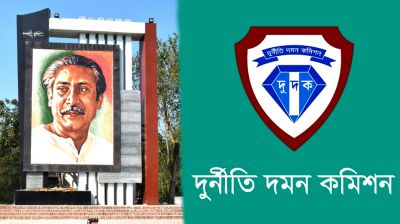 ৬৪ জেলায় ‘মুজিববর্ষ’ পালন ও ১০ হাজার ‘ম্যুরাল’ নির্মাণের নথি তলব