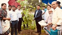 বৃষ্টিতে ভিজেই গাছ লাগালেন নারায়ণগঞ্জের ডিসি