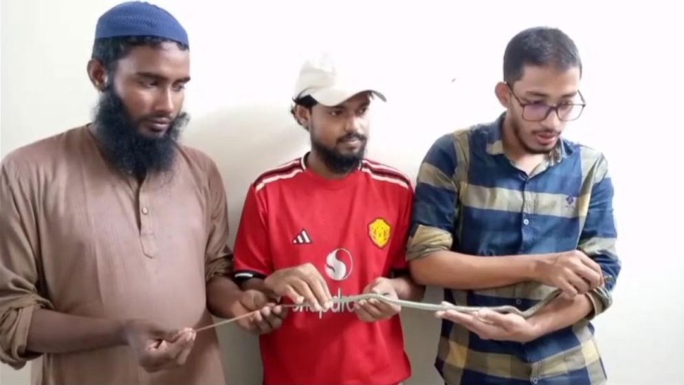 সাপের হাড়ে ফাটল, এক্স-রে করে পাঠানো হলো ঢাকায়