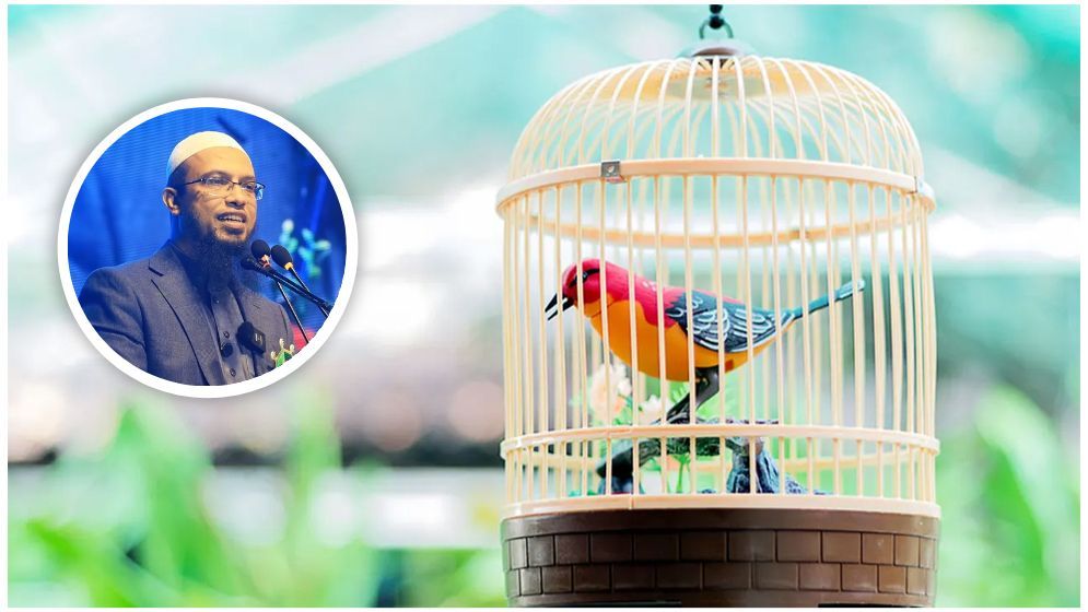 খাঁচায় বন্দি রেখে পাখি পালন করা কি জায়েজ আছে?