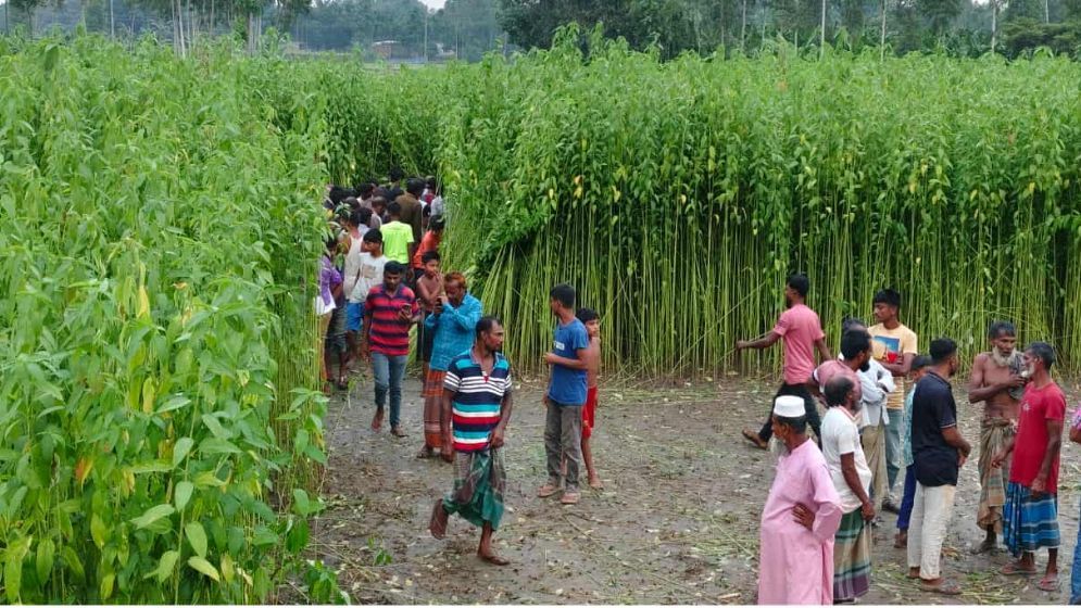 বগুড়ায় পাটক্ষেত থেকে নারীর কঙ্কাল উদ্ধার