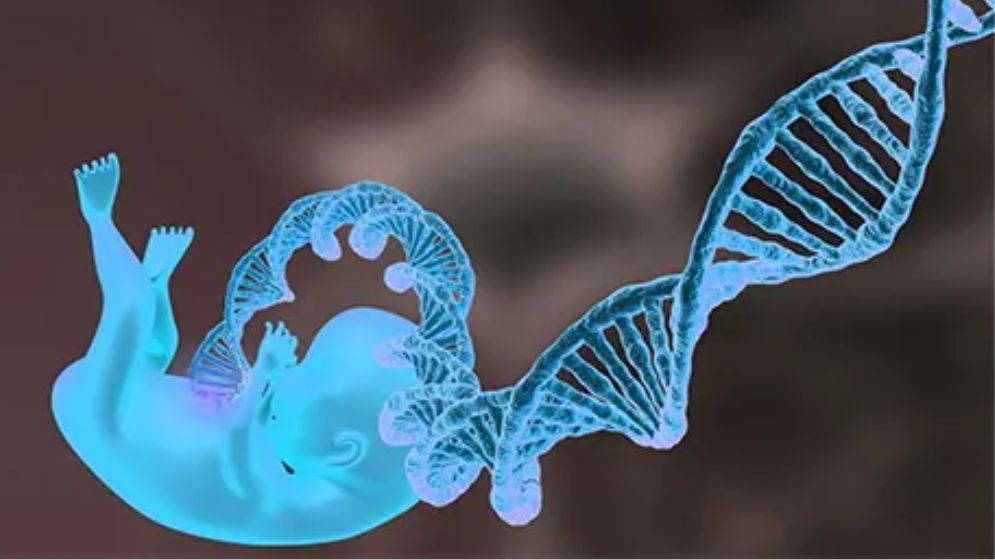 তিন জনের ডিএনএ দিয়ে ৮ শিশুর জন্ম