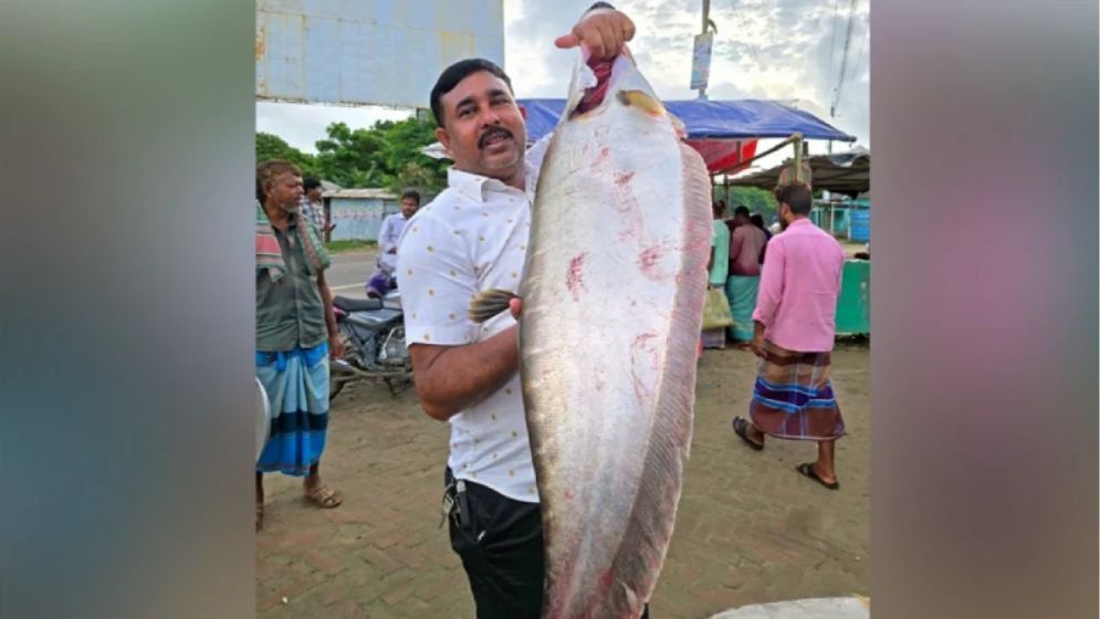 ২০ হাজার টাকায় বিক্রি এক চিতল
