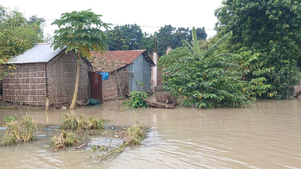 চাঁপাইনবাবগঞ্জে পদ্মার পানি কমছে, বাড়ছে ভাঙনের আশঙ্কা