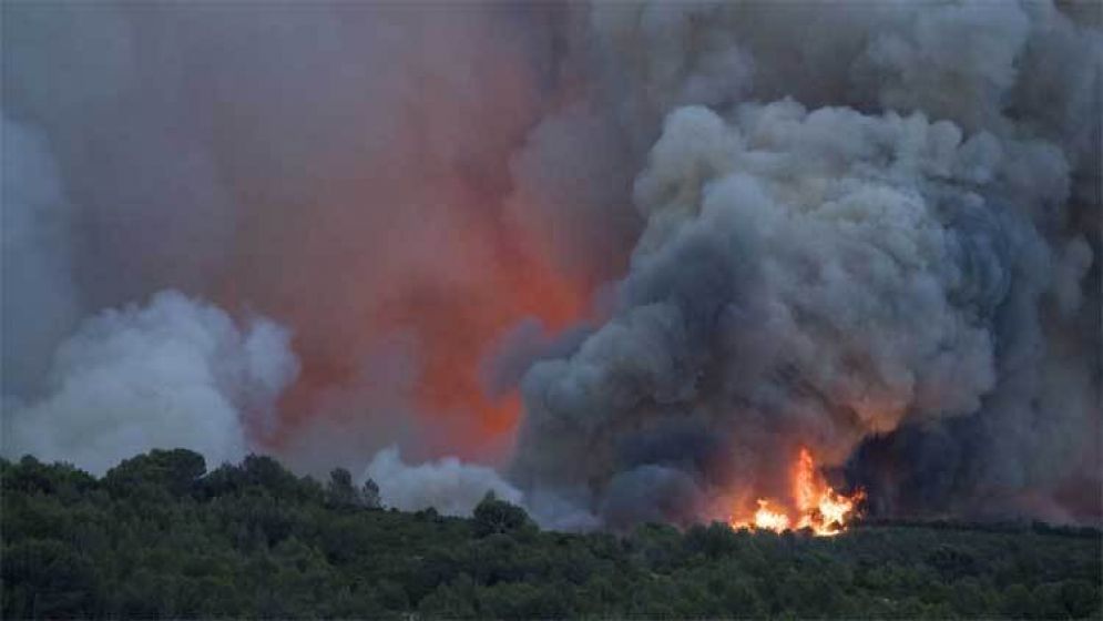 ফ্রান্সে দাবানলে ১১ হাজার হেক্টর এলাকার গাছপালা পুড়ে গেছে