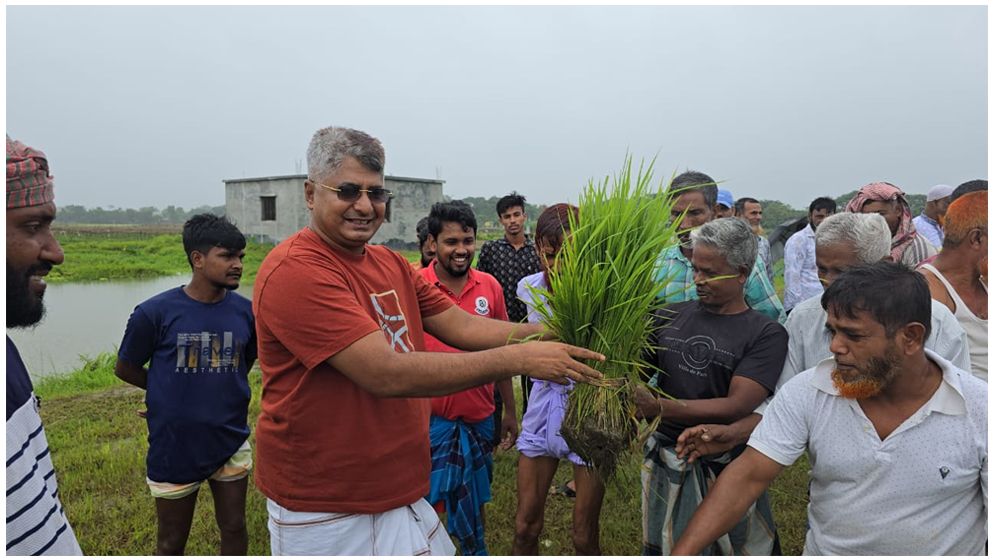 রূপগঞ্জে কৃষকদের মাঝে ধানের চারা বিতরণ