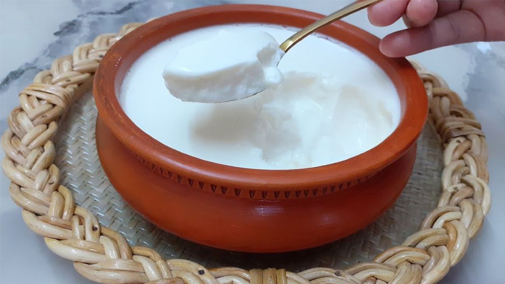 গরমে পেট ঠান্ডা রাখতে পাতে থাকুক দই