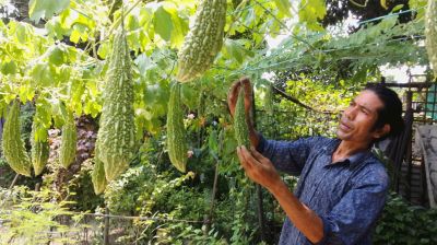 দারিদ্র্য জয় করে স্বাবলম্বী তরুণ উদ্যোক্তা হিমান মূর্মূ