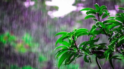 সন্ধ্যার মধ্যে যেসব অঞ্চলে ঝড়ের আভাস