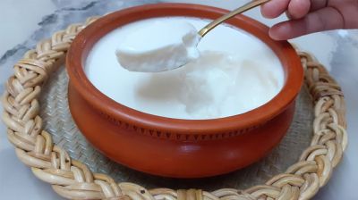 গরমে পেট ঠান্ডা রাখতে পাতে থাকুক দই