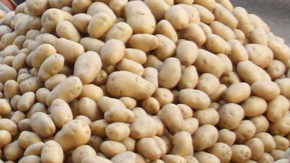 ২২ টাকা দরে আলুর দাম বেঁধে দিল সরকার