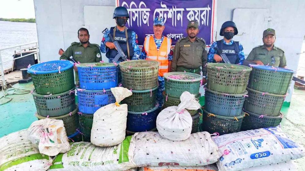 সুন্দরবনে অভিযানে সাড়ে ৩ লাখ টাকার কাঁকড়া জব্দ